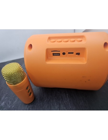 Altavoz Sing-E ZQS1482 con microfono inalambrica_segunda mano_cash creator_usado